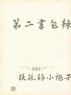 第二书包辣文
