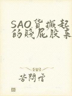 SAO货撅起你的贱屁股来