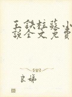 王铁柱苏小汐小说全文免费阅读最新章节