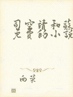 司空靖和苏月汐免费的小说笔趣阁