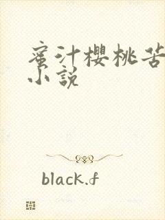 蜜汁樱桃苦咖啡小说