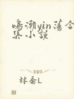 鸣潮yin荡合集小说