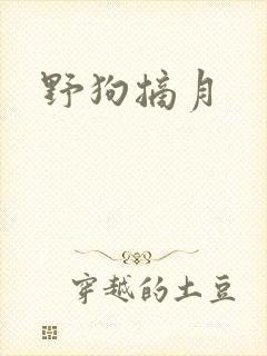 野狗摘月