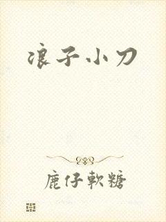 浪子小刀