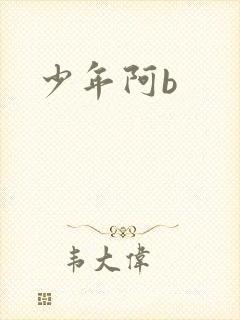少年阿b