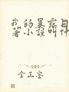 我的暴露日记原著小说叫什么