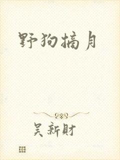 野狗摘月