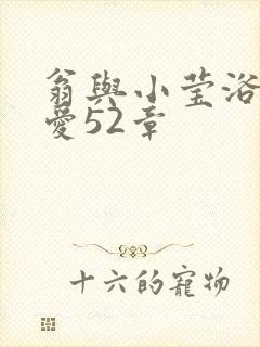 翁与小莹浴室欢爱52章