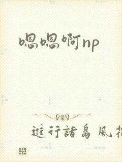 嗯嗯啊np