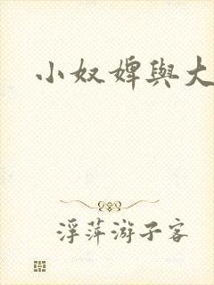 小奴婢与大少爷