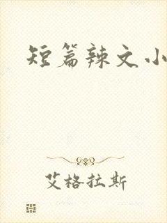 短篇辣文小说