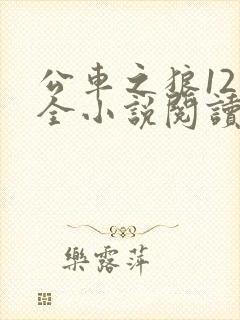 公车之狼12集全小说阅读