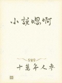 小说嗯啊