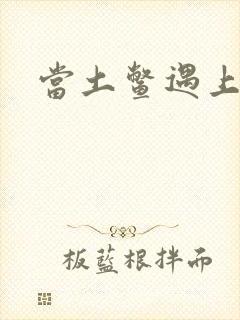 当土鳖遇上海龟