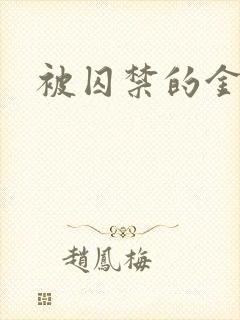 被囚禁的金丝雀