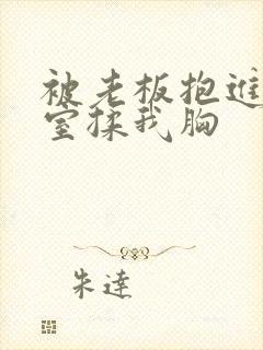 被老板抱进办公室揉我胸