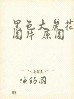 黑色大丽花真实图片 原图