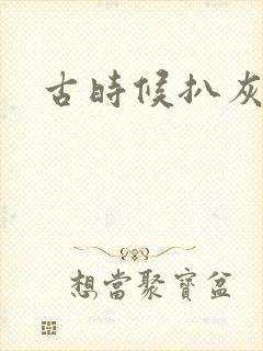 古时候扒灰小说