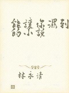 能让你湿到不行的小说