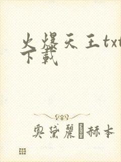 火爆天王txt下载