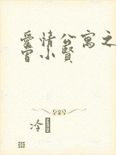 爱情公寓之极品曾小贤