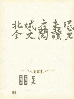北城夜未眠小说全文阅读免费