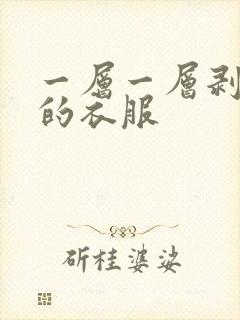 一层一层剥开你的衣服