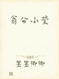 翁公小莹
