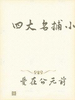 四大名捕小说
