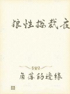 狼性总裁夜欢宠