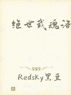 绝世武魂洛城东