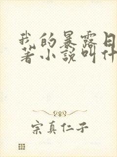 我的暴露日记原著小说叫什么