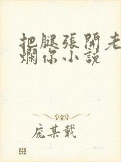 把腿张开老子臊烂你小说