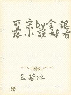 可宋by金银花露小说好看吗