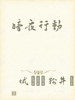 暗夜行动