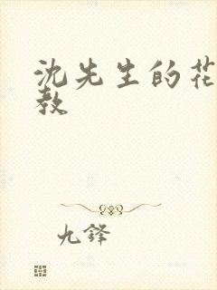 沈先生的花式管教