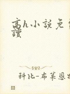 高h小说免费阅读