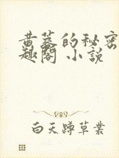 黄蓉的秘密 笔趣阁 小说