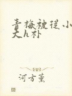 青梅被从小摸到大h补