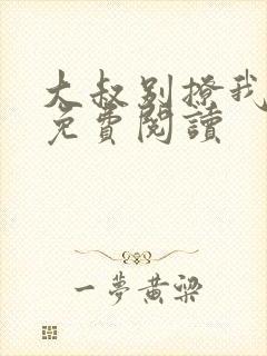 大叔别撩我小说免费阅读