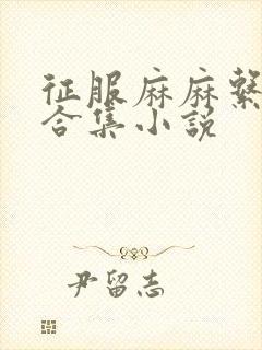 征服麻麻系列大合集小说