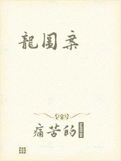 龙图案