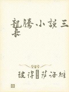 龙腾小说三宝局长