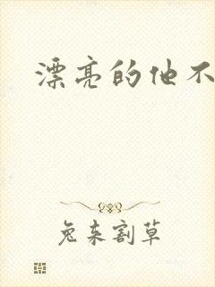 漂亮的他不说话