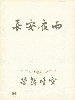 长安夜雨