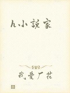 h小说家