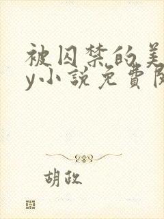 被囚禁的美人by小说免费阅读