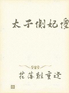 太子侧妃傻乎乎