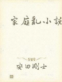 家庭乱小说