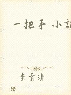 一把手 小说
